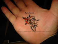 /album/fotogaleria-moscas/img-2465-jpg/