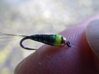 /album/fotogaleria-moscas/imgp2017-jpg/