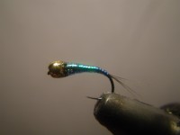 /album/fotogaleria-moscas/imgp2278-jpg/