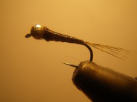 /album/fotogaleria-moscas/imgp2281-jpg/