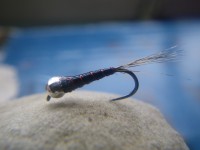 /album/fotogaleria-moscas/imgp2283-jpg/