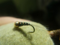 /album/fotogaleria-moscas/imgp2323-jpg/