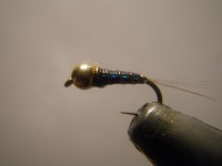 /album/fotogaleria-moscas/imgp2325-jpg/