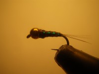 /album/fotogaleria-moscas/imgp2326-jpg/