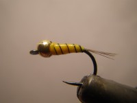 /album/fotogaleria-moscas/imgp2347-jpg/