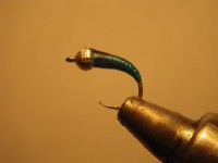 /album/fotogaleria-moscas/imgp2380-jpg/