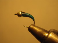 /album/fotogaleria-moscas/imgp2381-jpg/