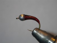 /album/fotogaleria-moscas/imgp2382-jpg/