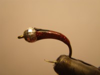 /album/fotogaleria-moscas/imgp2384-jpg/