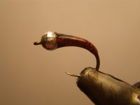 /album/fotogaleria-moscas/imgp2385-jpg/